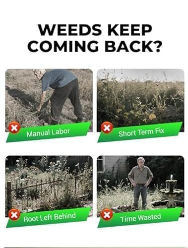 Cyclosinone Herbicid Granular Weed Killer (Pack Of 2)