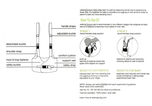 Handheld Baby Walker for Toddler